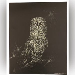 Signed Print By Jane Hill Large Owl In Pine Tree Black & White Copyright 1977